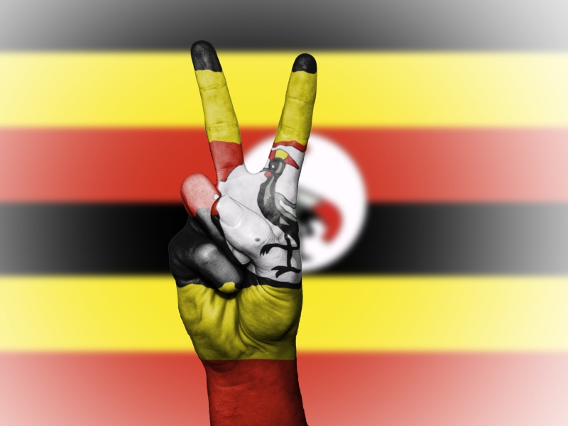 state, paint, human finger, human hand, ensign, finger, people, hand, indoors, body part, icon, multi colored, banner, peace, uganda, creativity, vibrant color