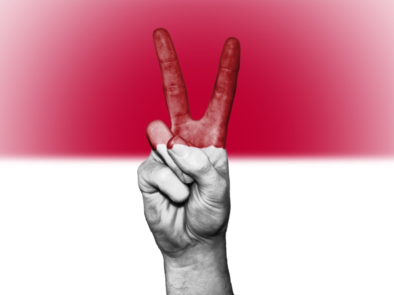 human finger, palm, banner, human limb, hand, human hand, flag, aggression, hand sign, thumb, index finger, showing, human body part, adult, gesturing