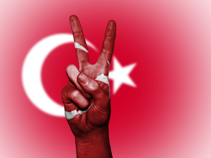 reaching, human body part, signage, adult, turkey, hand sign, studio shot, flag, country, human finger, showing, people, background, national, body part
