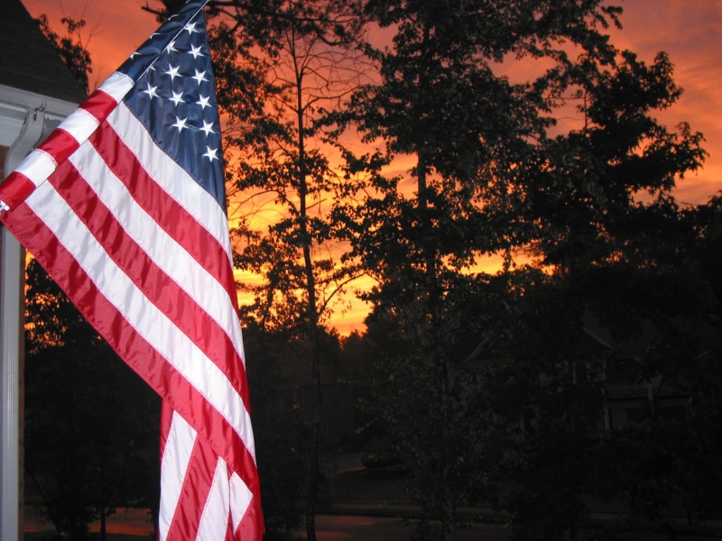 outdoors, nature, usa, close-up, plant, architecture, independence, sky, low angle view, sunset, stars and stripes, striped, day, tree, patriotism, star shape