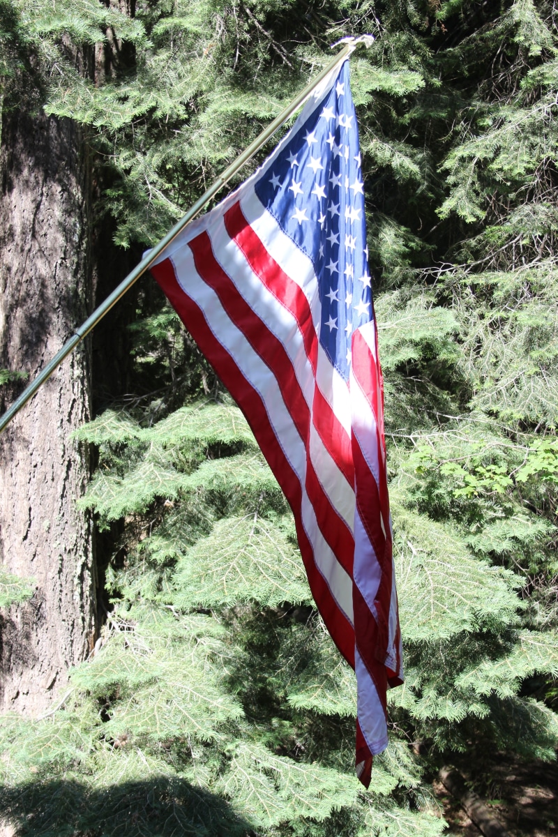 military, striped, shape, glory, star shape, 4th of july, stripes, sunlight, celebration, white, 4th, day, dom, 5K, holiday, flag, american, tree, patriotic