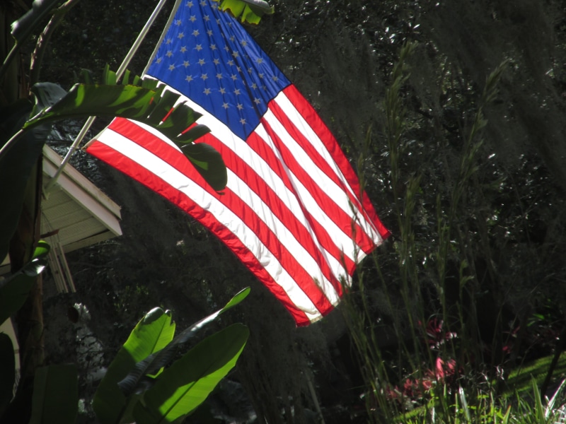 star, us, dom, country, fourth, glory, july, white, patriotism, nation, independence, day, emotion, states, leaf, plant part, patriot, blue, symbolic, stripes