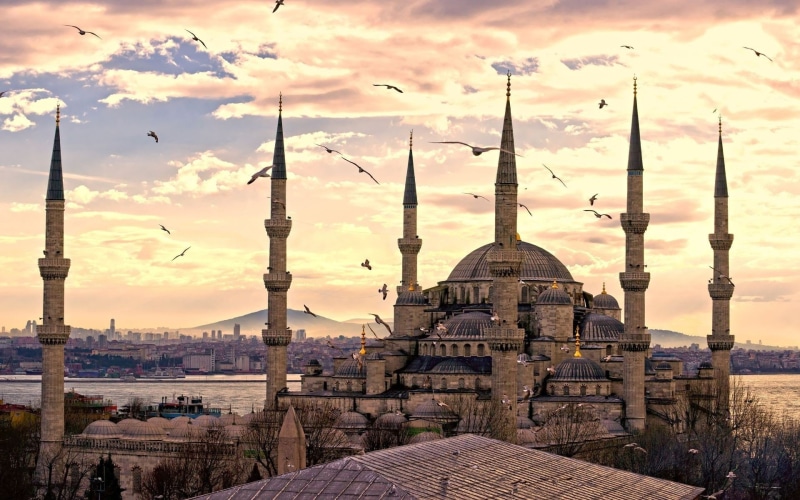 1080P, x, 1920x1200 px, sultan, Mosques, art, mosque, ISLAM, bears, Sultan Ahmed Mosque, hd, Istanbul, Turkey, ahmed, px, animals
