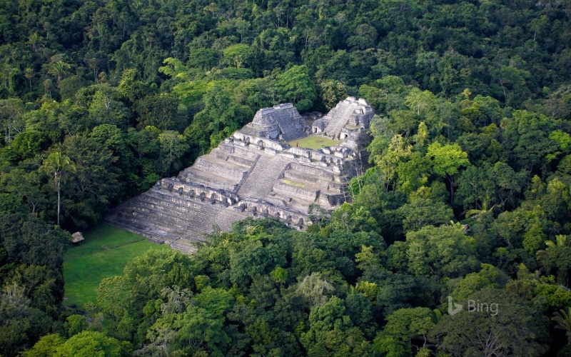 no people, built structure, archaeological, scenics - nature, land, high angle view, growth, green color, day, history, caracol, 1080P, travel, lush foliage