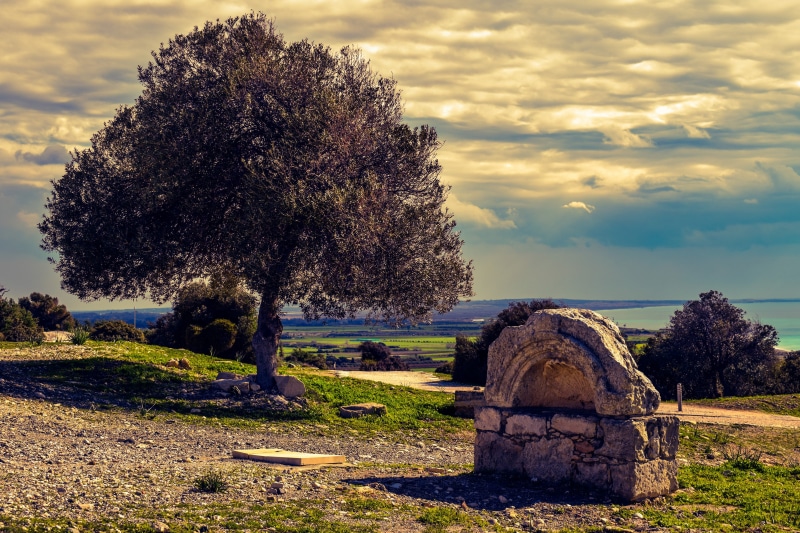 solid, no people, archaeological, history, outdoors, landscape, 5K, architecture, cyprus, cloud - sky, tranquility, kourion, site, grass, day, plant, fountain