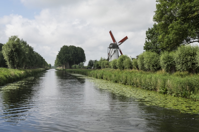 day, nature, damme bruges, mill, wind power, environmental conservation, turbine, fuel and power generation, light, environment, alternative energy, river