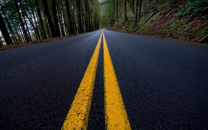 vanishing point, double yellow line, dividing line, yellow, plant, marking, transportation, forest, sign, nature, road, diminishing perspective, no people