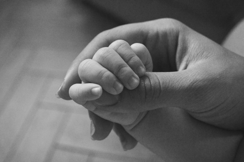 togetherness, limb, parent, family with one child, baby, childhood, young, hands, 2K, hand, love, bonding, indoors, close-up, finger, son, babyhood, people