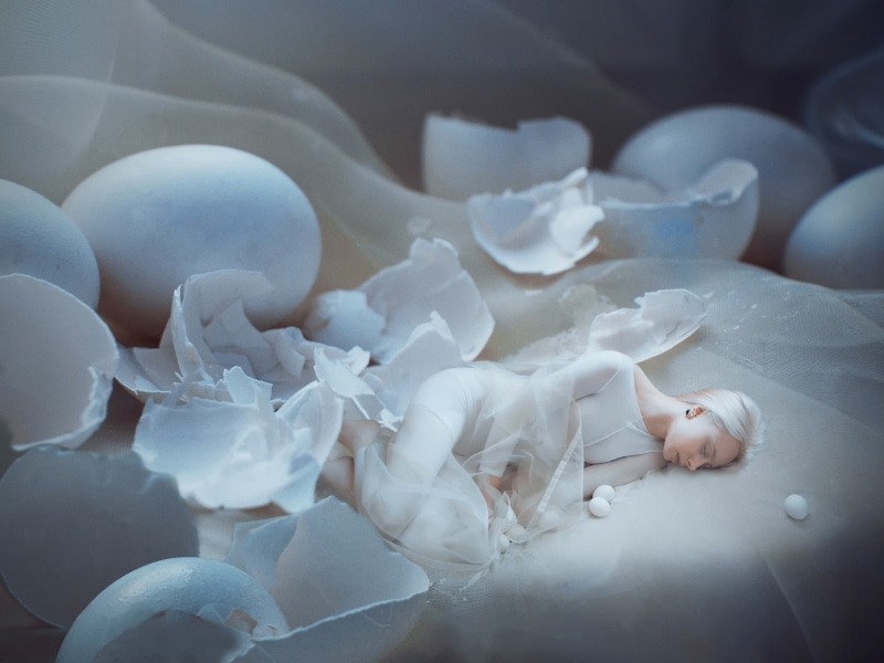birth, fragility, full frame, high angle view, beauty in nature, nature, lying down, women, representation, close-up, no people, innocence, broken, beauty