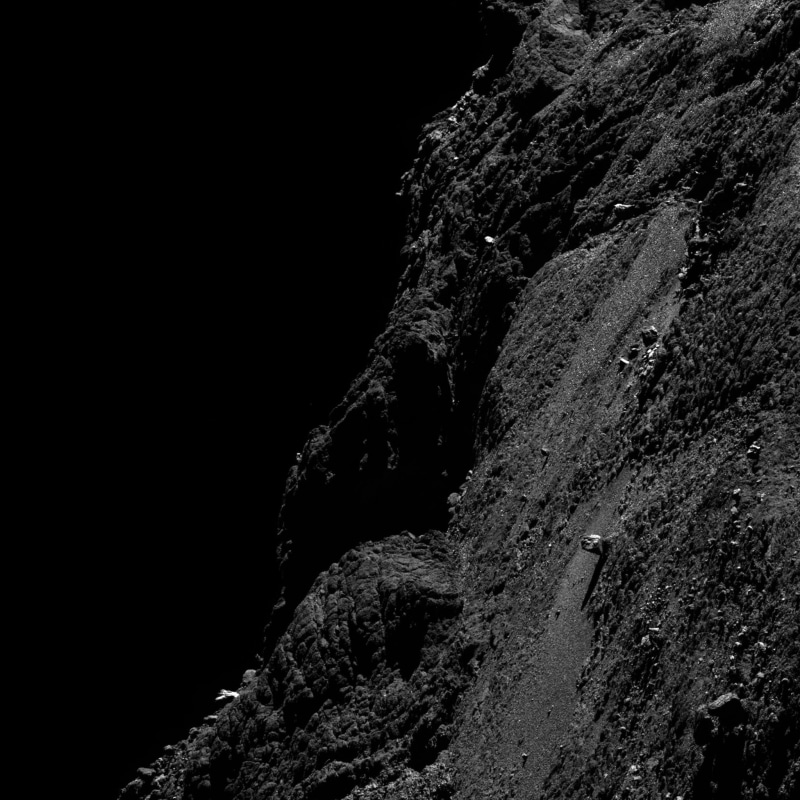 copy space, OSIRIS, rock, rough, plant, tree, low angle view, 1080P, no people, nature, day, close-up, solid, outdoors, mountain, clear sky, textured