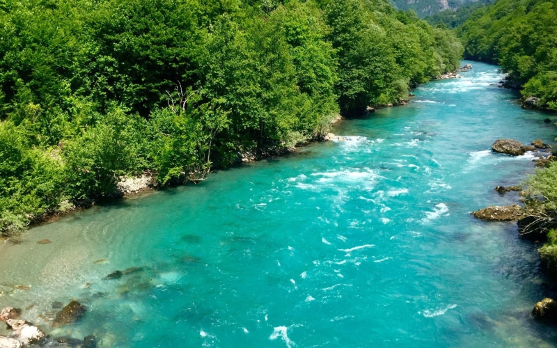 tara, 1080P, montenegro, river