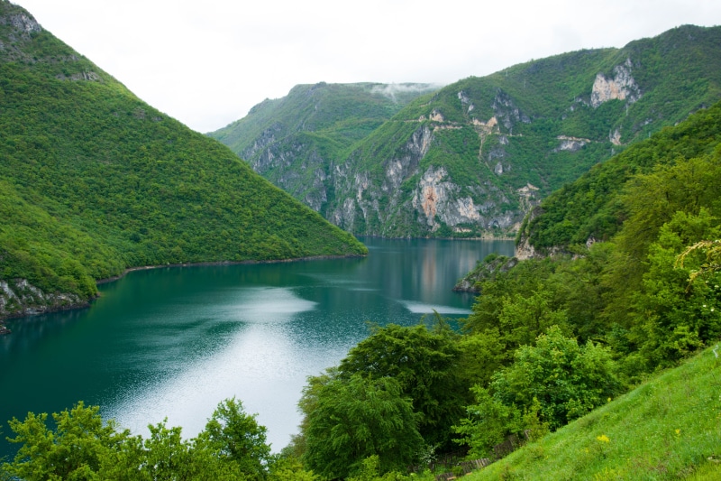 body of water, misty, Person, Fluss, Tal, green body, tree, 5K, mountain, Piva river, green, Beautiful, Montenegro, hill, daylight, tourism, outdoors