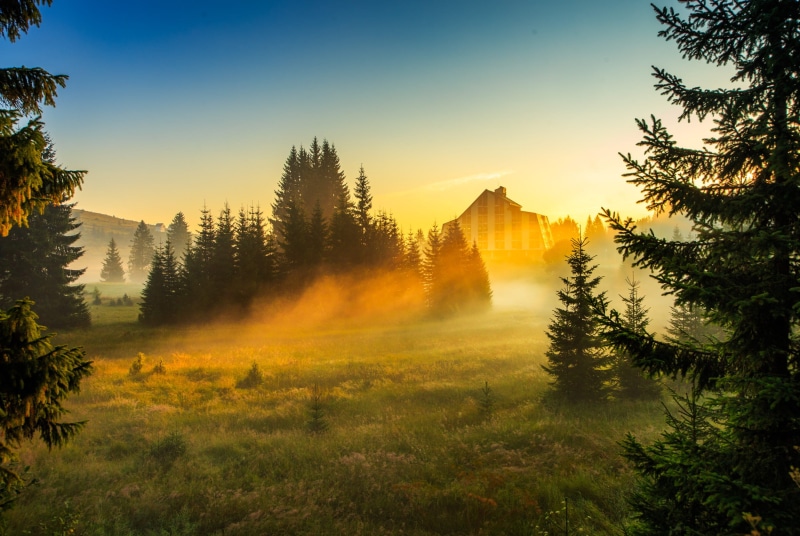 scenics - nature, mountain, tranquility, tranquil scene, nature, no people, landscape, montenegro, environment, non-urban scene, outdoors, growth, beauty in nature