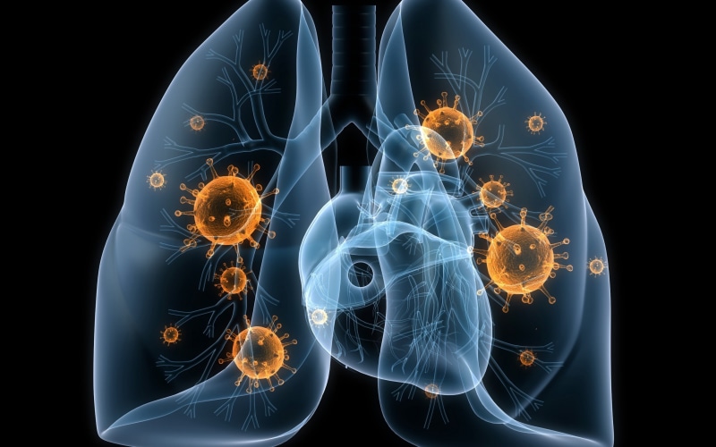 lungs, disease, human, 2K, viruses, illustration, heart, bacteria