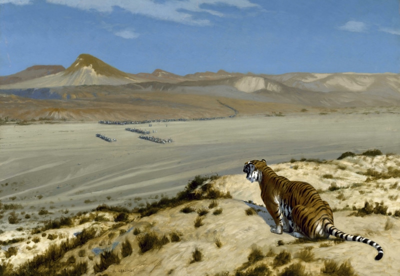 cat, 8K, landscape, Alert Tiger, Jean-Leon Gerome, picture