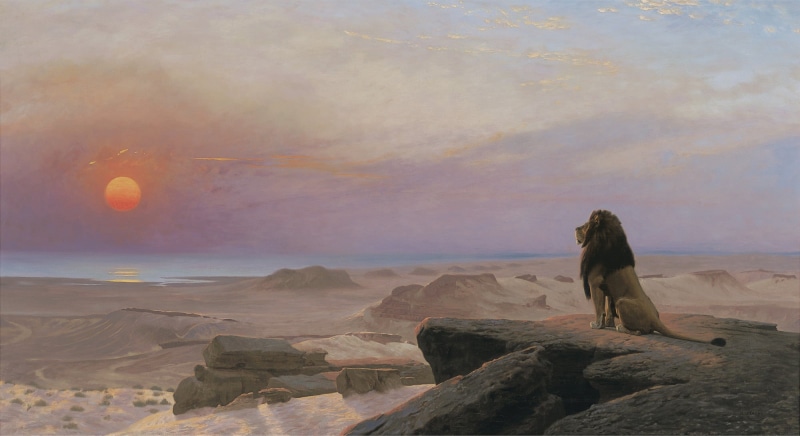 tranquil scene, jean leon gerome, solid, animal, non-urban scene, water, beauty in nature, sitting, nature, rock - object, rock, scenics - nature, art