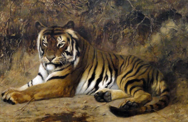 cat, 1080P, picture, Jean-Leon Gerome, animals, Tiger