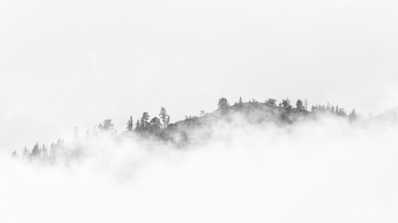 5K, minimalism, black and white, trees, outdoors, Island, westrock, 6L, minimal, forest mountain, fog, cloudy, sea, nature, mist, Canon EF, Mind, surrounded