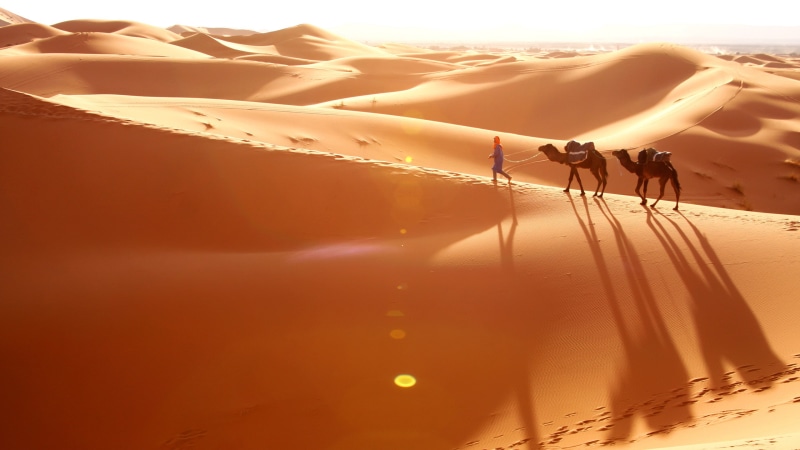 bedouin, khali, al, space, walking, desert, rub, arabia, 2K, asia, camels, oman, saudi