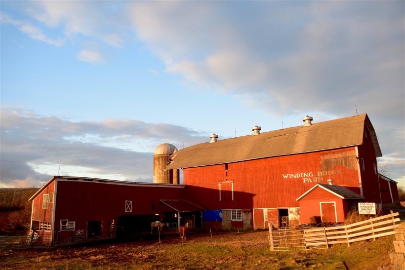 new jersey, Farm, house, industry, sunlight, residential district, Light, cloud - sky, abandoned, architecture And Buildings, nature, agriculture, natural