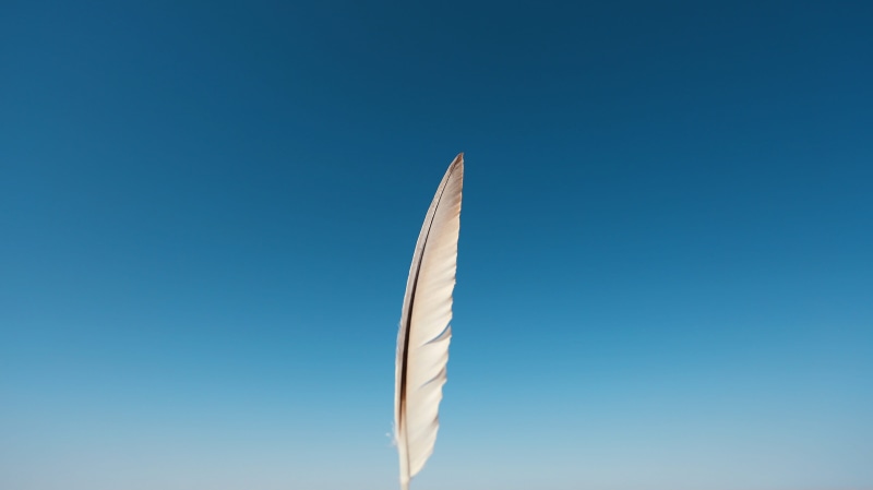 day, close-up, feather, beauty in nature, outdoors, low angle view, single object, sky, copy space, clear sky, colored background, 4K, no people, lightweight