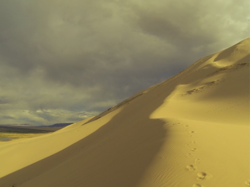 climate, gobi desert, mongolia, suburbs, sky, environment, land, yellow, ferns, outdoors, arid climate, day, sand, cloud - sky, beauty in nature, 2K, travel