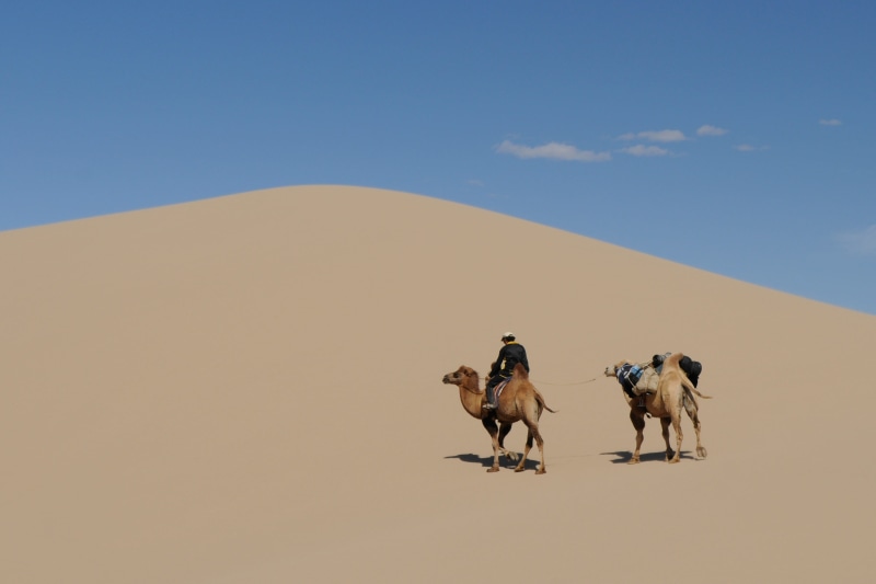Gobi, sky, group of animals, 2K, Camel, horse, pets, climate, no people, desert landscape, working animal, land, riding, scenics - nature, outdoors, sand