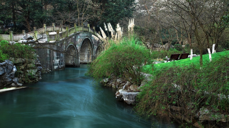 prince bay park, forest, built structure, arch bridge, arch, 4K, scenics - nature, river, flowing water, bridge - man made structure, nature, bridges