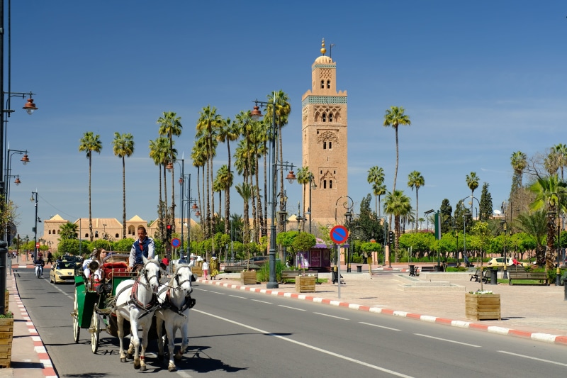 street, road, marrakech, travel, mode of transportation, day, land vehicle, palm tree, architecture, transportation, tower, 5K, group of people, sky, outdoors