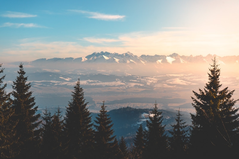 coniferous tree, autumn, travel, growth, sky, no People, season, woodland, mountains, fir Tree, tranquil Scene, sunlight, hill, clouds, nature, forest