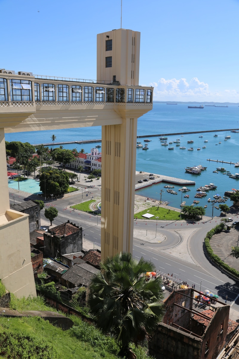 tree, city, tourism, sky, bay, building, bahia, sunny, day, blue, high angle view, plant, mar, lift lacerda, postcard, transportation, natural, building exterior