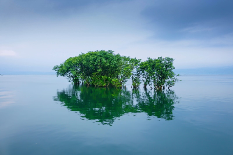 waterfront, bangladesh, green, growth, environment, sea, scenery, tranquil scene, reflection, outdoors, scenics - nature, no people, 4K, water, beauty in nature