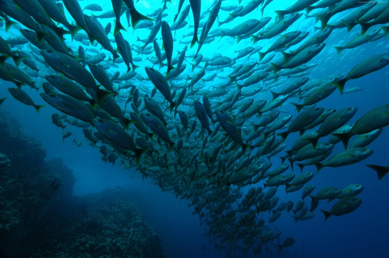 tourism, Diving, 2K, Playa Flamingo, travel, Costa Rica