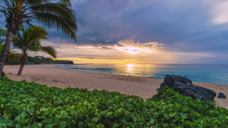 palm trees, beach, the ocean, Reunion Island, France, sunset, 4K, sand, The Indian ocean, Indian Ocean