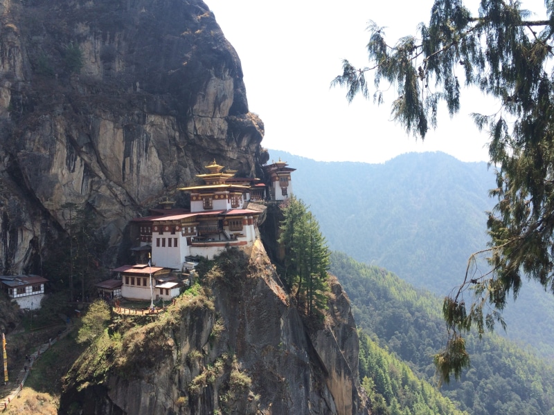 Bhutan, white, spirituality, tree, brown, sky, plant, Tiger, outdoors, travel destinations, bird, architecture, Monastery, building, view, built structure