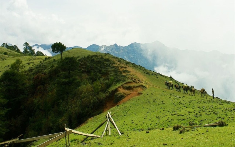 landscape, Bhutan, 720P, mountains, nature