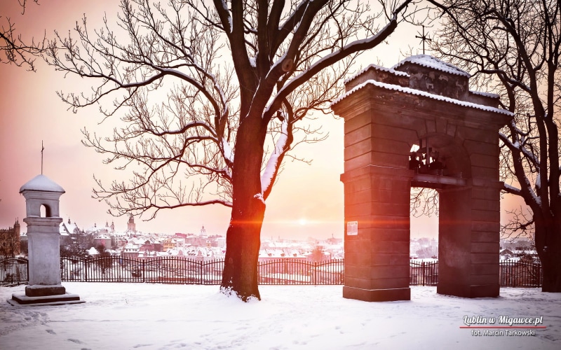plant, outdoors, bare tree, sky, tourist, Europe, Polish, building exterior, city, building, covering, cityscape, 1080P, winter, Poland, architecture