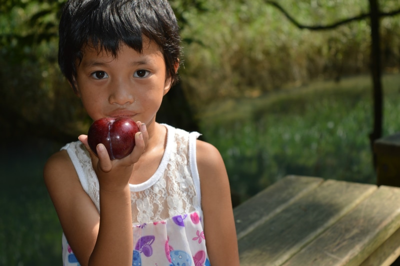 front view, one person, focus on foreground, real people, child, portrait, casual clothing, outdoors, 5K, girls, childhood, healthy eating, food, little girl