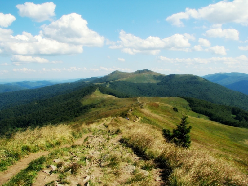 the path, grass, land, environment, no people, scenics - nature, mountain, mountain peak, cloud - sky, tranquil scene, idyllic, poloniny, poland, non-urban scene