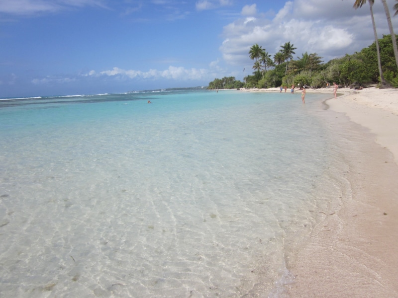 beauty in nature, trip, vacations, 4K, island, holiday, sand, turquoise colored, horizon over water, palm trees, outdoors, scenics - nature, nature, tranquil scene