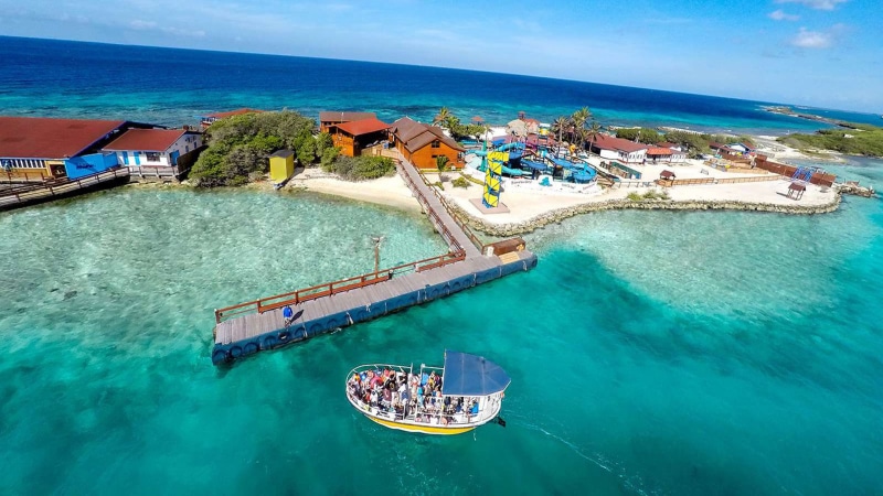 de, beach, palm, island, aruba, caribbean, desktop, hd, 1080P
