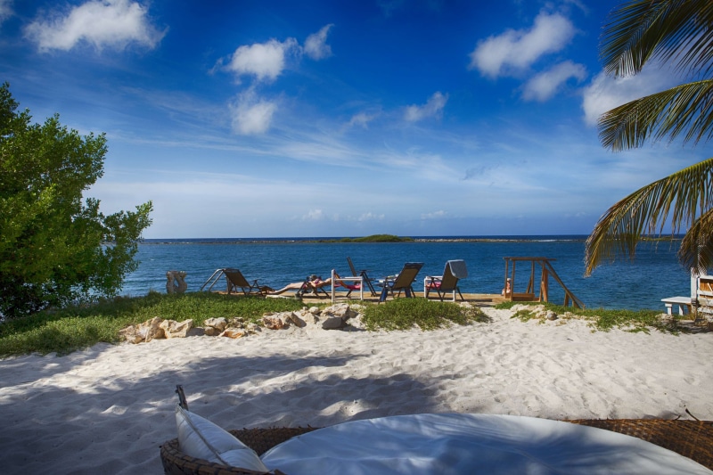 horizon over water, horizon, cloud - sky, outdoors, tranquility, land, tranquil scene, palm tree, aruba, coral reef beach 2016, water, beauty in nature