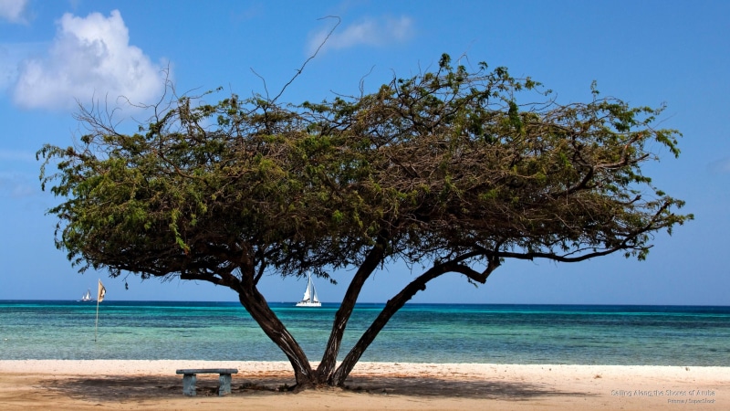 Islands, 2K, aruba, shores, along, sailing