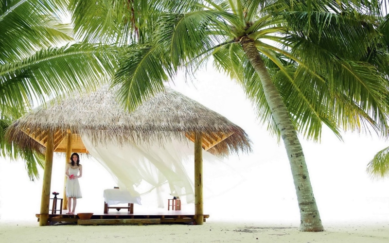 wooden, sky, travel Locations, day, girl, vacations, coastline, palapa, relaxation, coconut Palm Tree, tourism, palm leaf, arbor, beauty In Nature, palm trees