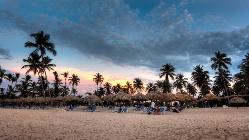 plant, tropical tree, scenics - nature, 2K, palapas, beauty in nature, water, caribbean, palm tree, sand, vacation, trip, tranquil scene, tropical beach