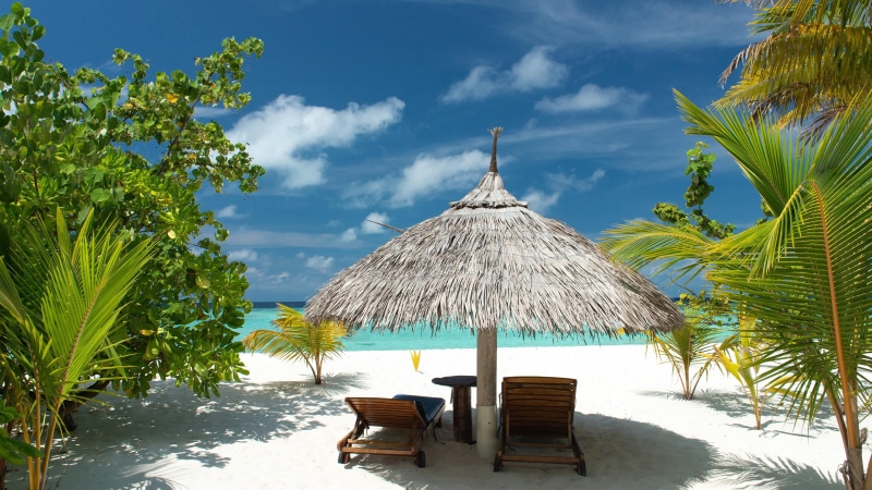 parasol, sky, sunshine, no people, tropical climate, summertime, sand, 4K, sunbed, roof, nature, coast, water, plant, summer, tranquil scene, vacations