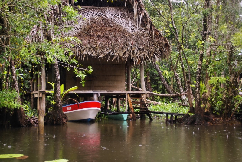 water, nature, built structure, tree, bridge, no people, box, roof, architecture, tropical, 2K, waterfront, mode of transportation, canoe, nautical vessel