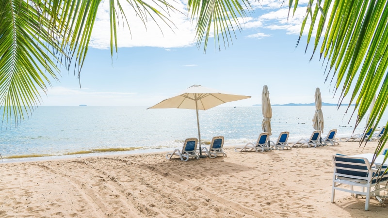 summer, summertime, lounge, sunshade, sunbeds, sandy beach, tropical beach, 4K, sunbed, relax, palm leaves, beach, parasol