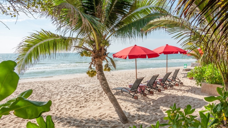 1080P, palm, sand, outdoors, beach, horizon over water, tropics, resort, plant, sea, palm tree, lounge chair, chair, tree, day, coco palm, sunlight, nature