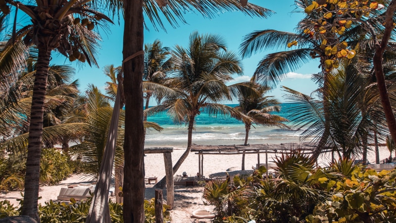 tulum, coastline, tropics, plant, sumertime, caribean sea, beach, mexico, tourism, vacation, palm tree, 4K, water, arecales, resort, coast, sky, playa
